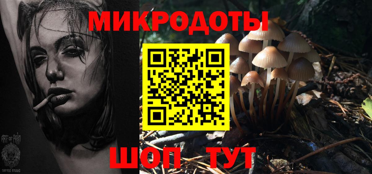 Псилоцибиновые грибы мицелий Заводоуковск