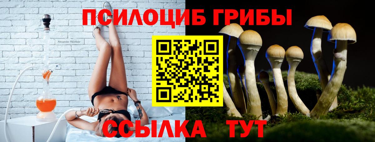 Псилоцибиновые грибы мицелий  Псилоцибиновые грибы GOLDEN TEACHER  Заводоуковск  Вход с VPN 